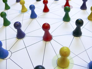 米兰全站APP正式版下载-中国篮球教练员领导力培养路径，中国篮球协会篮球教练员等级