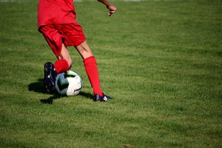 米兰体育app下载安装-中国青少年篮球运动员伤病防控体系建设，青少年篮球训练现状分析